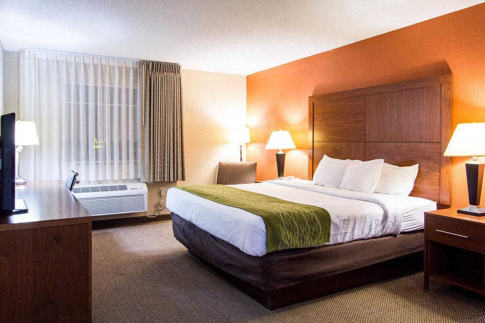 נורת' צ'רלסטון Comfort Inn & Suites Airport Convention Center מראה חיצוני תמונה