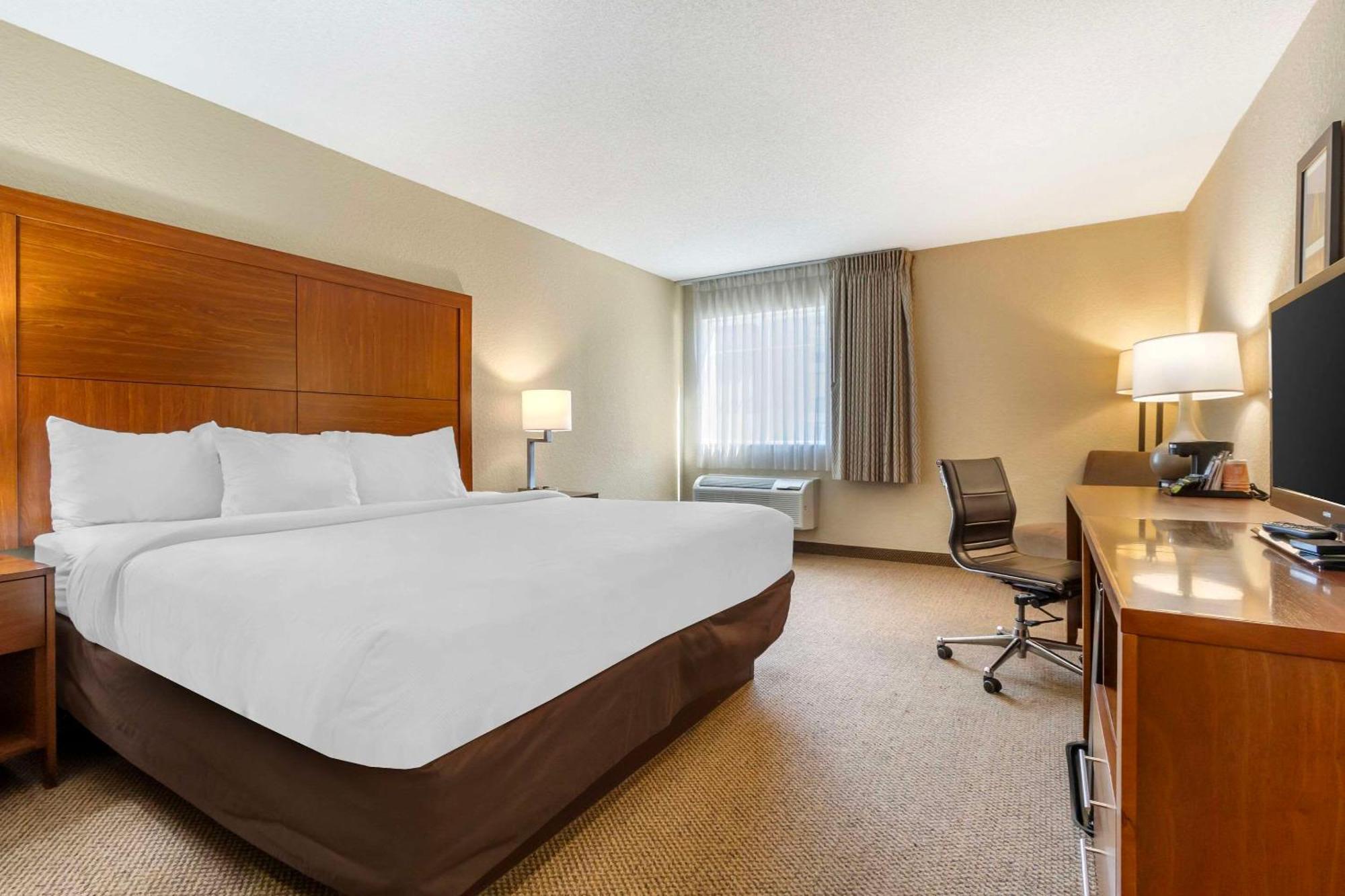 נורת' צ'רלסטון Comfort Inn & Suites Airport Convention Center מראה חיצוני תמונה