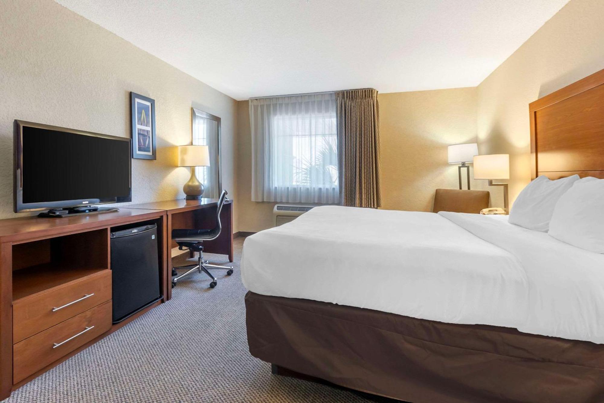 נורת' צ'רלסטון Comfort Inn & Suites Airport Convention Center מראה חיצוני תמונה