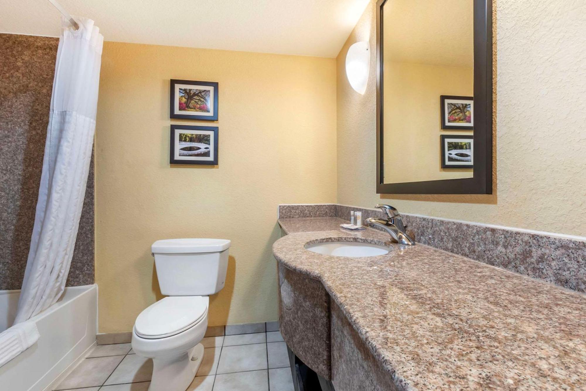 נורת' צ'רלסטון Comfort Inn & Suites Airport Convention Center מראה חיצוני תמונה