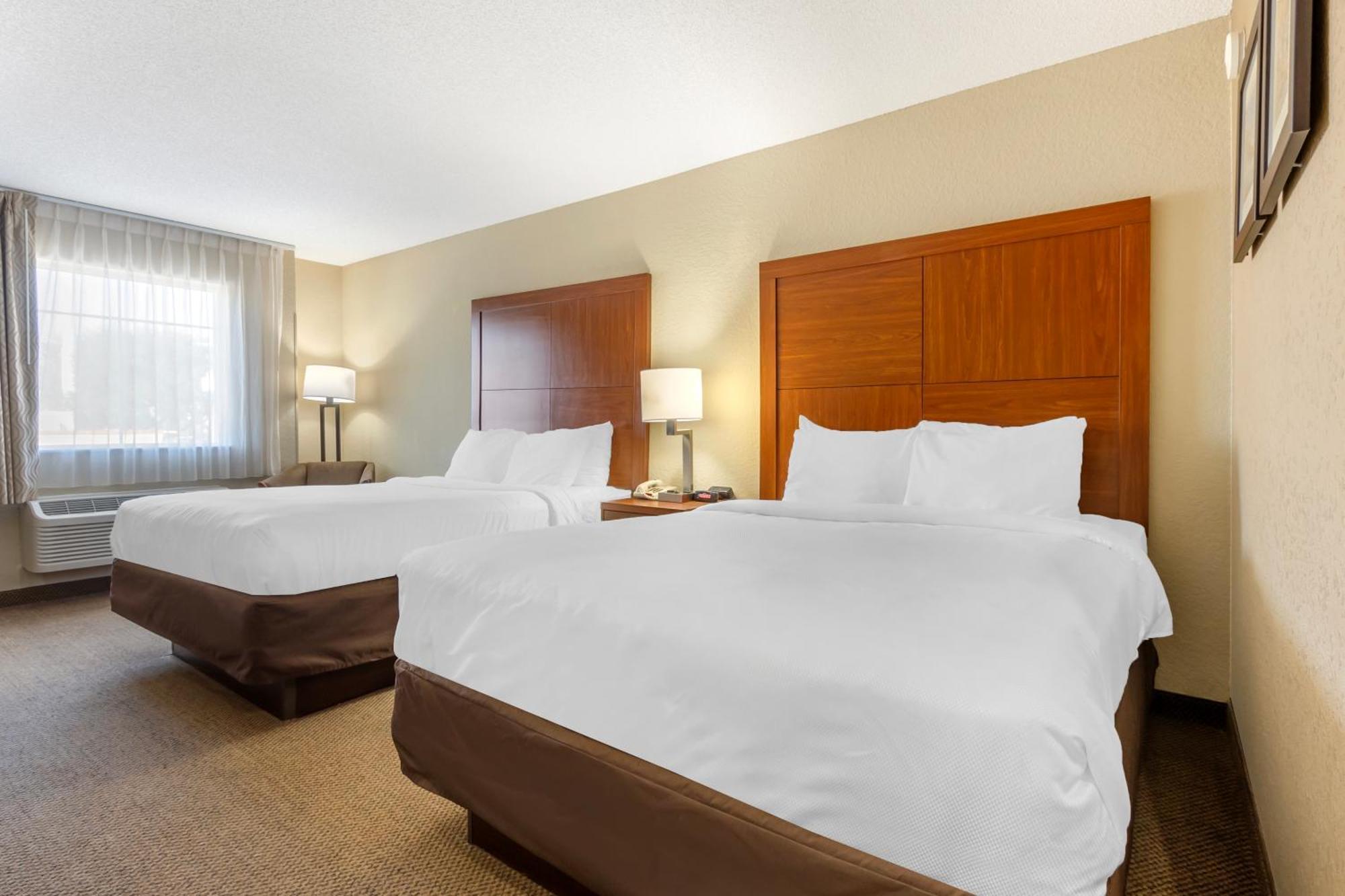 נורת' צ'רלסטון Comfort Inn & Suites Airport Convention Center מראה חיצוני תמונה