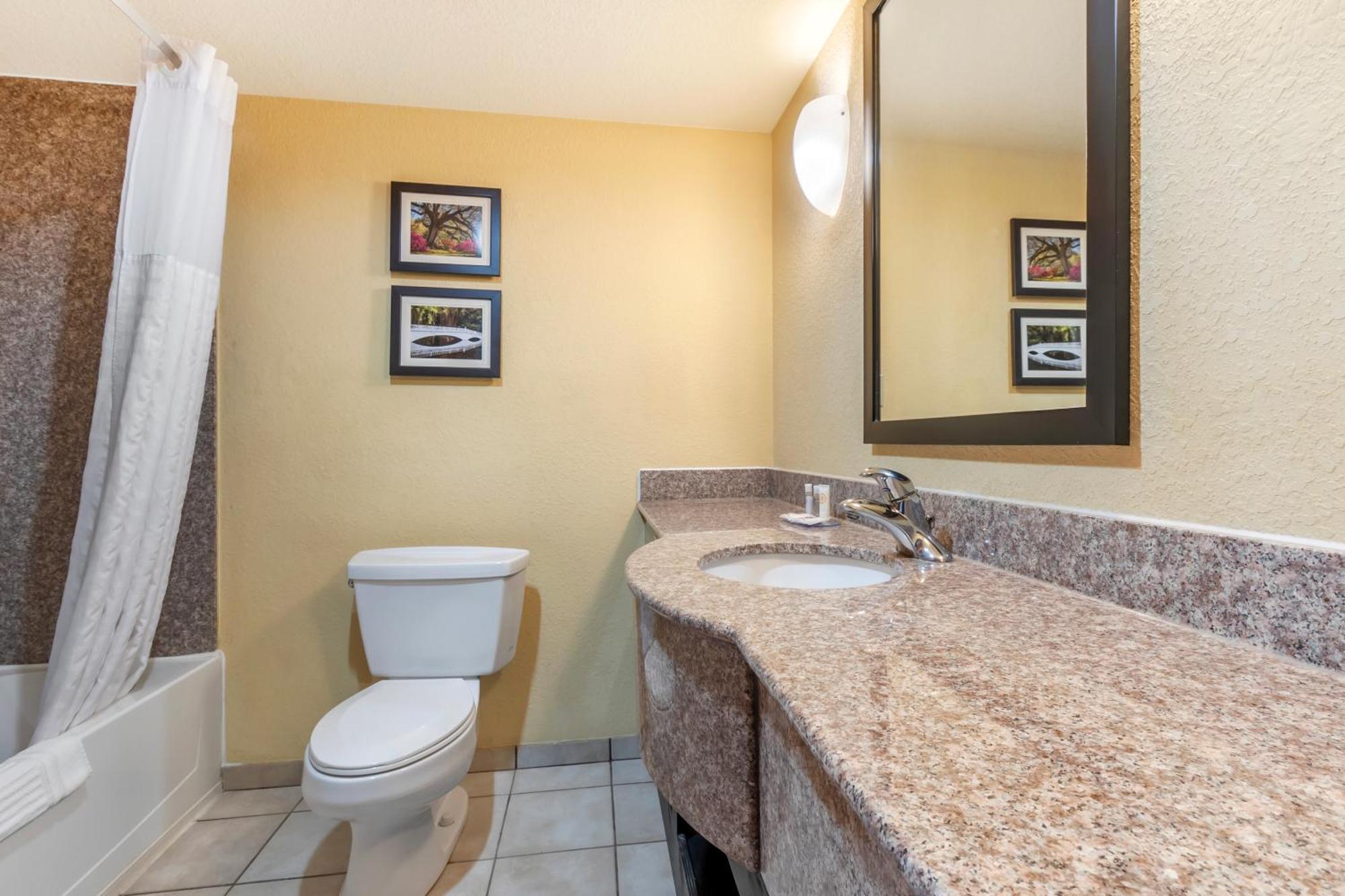 נורת' צ'רלסטון Comfort Inn & Suites Airport Convention Center מראה חיצוני תמונה