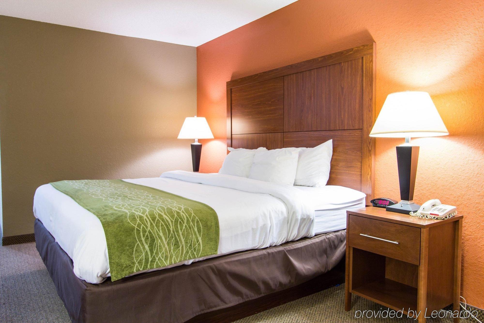 נורת' צ'רלסטון Comfort Inn & Suites Airport Convention Center מראה חיצוני תמונה