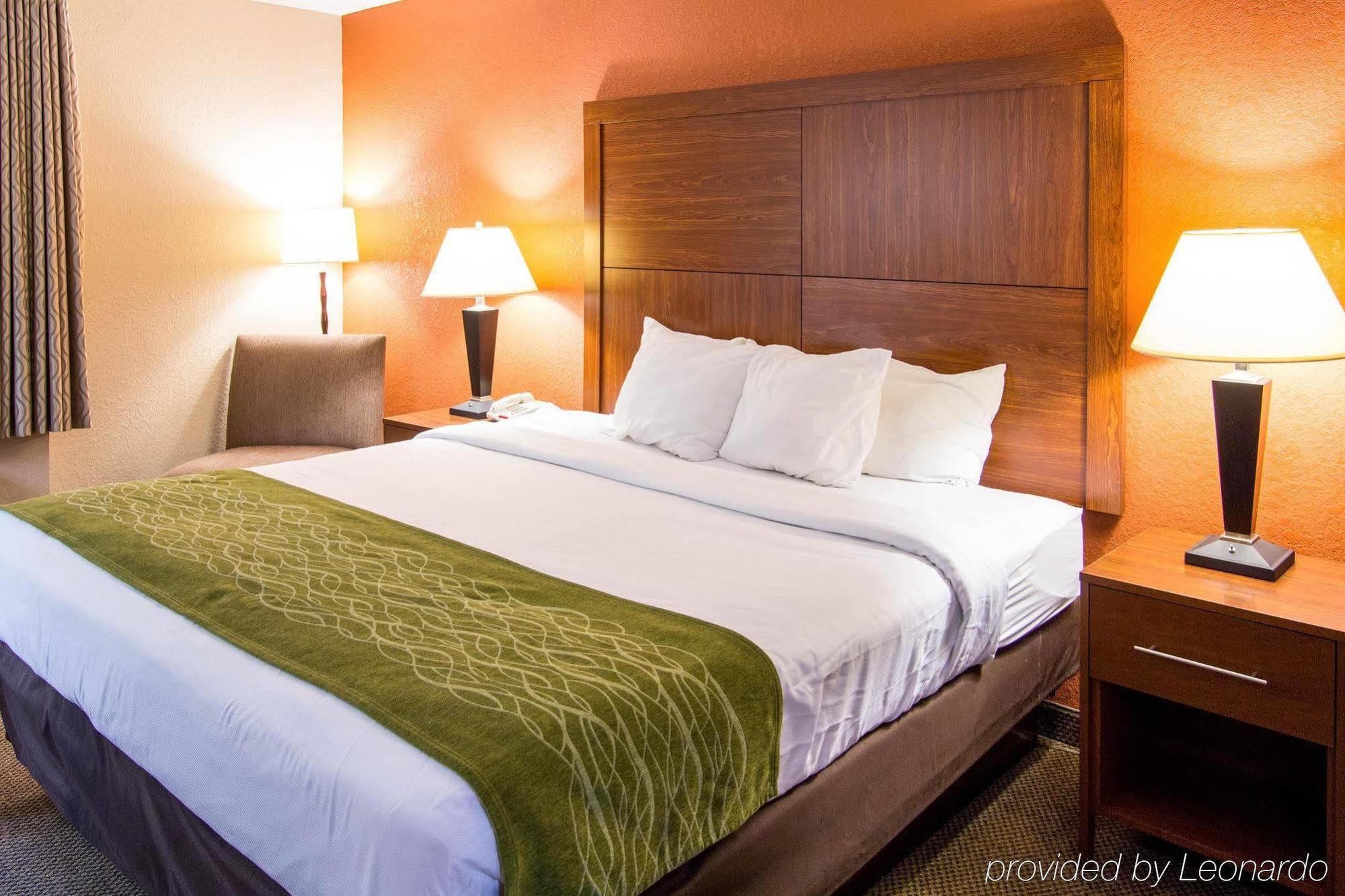 נורת' צ'רלסטון Comfort Inn & Suites Airport Convention Center מראה חיצוני תמונה
