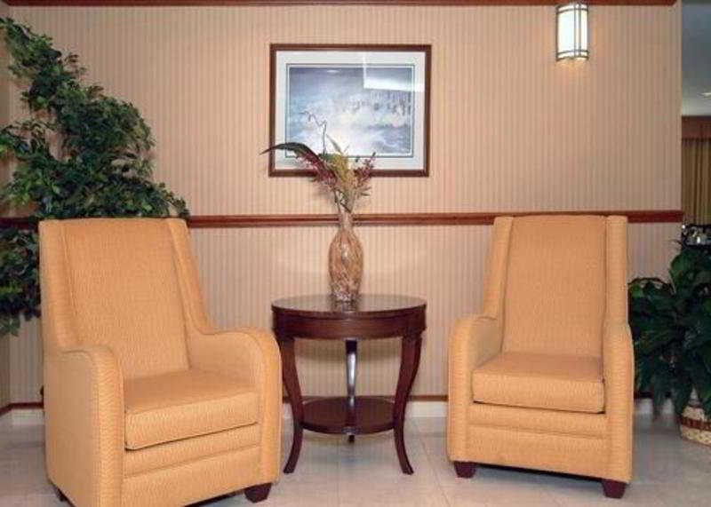 נורת' צ'רלסטון Comfort Inn & Suites Airport Convention Center מראה חיצוני תמונה